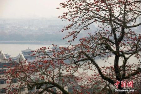 　资料图：广东省潮州市韩愈纪念馆附近景观。刘莉生 摄