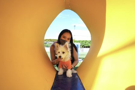 SM CDO Downtown Premier Mom's Pet Fair
