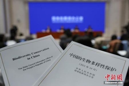 　　10月8日，中国国务院新闻办公室在北京发布《中国的生物多样性保护》白皮书，这是中国政府发布的第一部生物多样性保护白皮书。 中新社记者 杨可佳 摄