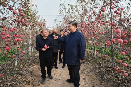 2022年10月26日下午,习近平在陕西省延安市安塞区高桥镇南沟村苹果园同老乡们亲切交流。新华社记者 燕雁 摄 2022年10月26日下午,习近平在陕西省延安市安塞区高桥镇南沟村苹果园同老乡们亲切交流。新华社记者 燕雁 摄