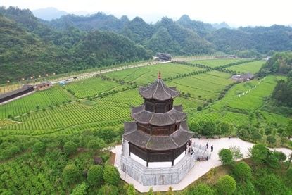辰龙关碣滩茶产业园。杨华峰 摄 辰龙关碣滩茶产业园。杨华峰 摄