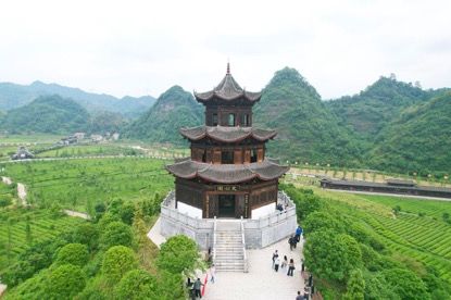 沅陵官庄镇界亭驿村茶园。 沅陵县委宣传部供图
