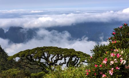 来宾金秀圣堂山美景。陆秀廷 摄