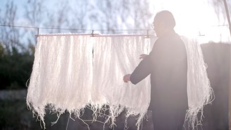 (山东招远龙口粉丝制作技艺传承人在晾晒粉丝) (山东招远龙口粉丝制作技艺传承人在晾晒粉丝)