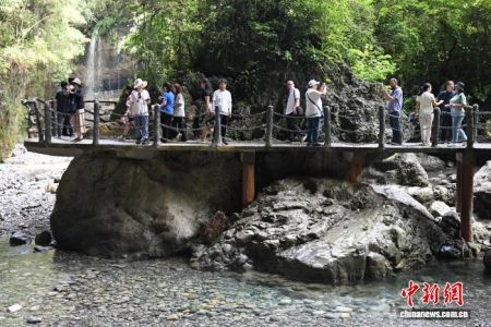 　　7月24日，参加“行走中国·2025海外华文媒体川渝行”活动的20余家海外华文媒体代表走进四川省达州市宣汉县巴山大峡谷。图为海外华文媒体代表在巴山大峡谷桃溪谷参访享受清凉夏日。中新社记者 张浪 摄