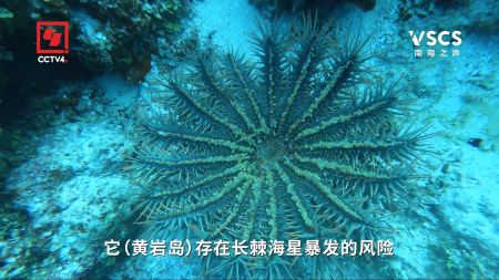 影响黄岩岛珊瑚礁生态系统健康的各种威胁，从未远去。