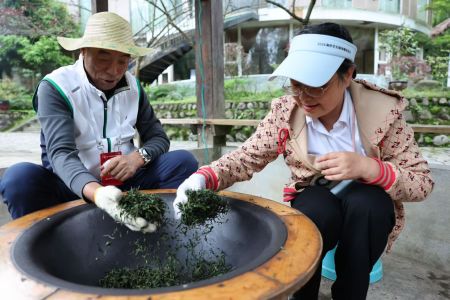 13日，来自全球17个国家和地区的20余家华文媒体代表在位于四川都江堰的茶溪谷体验制茶。张浪 摄