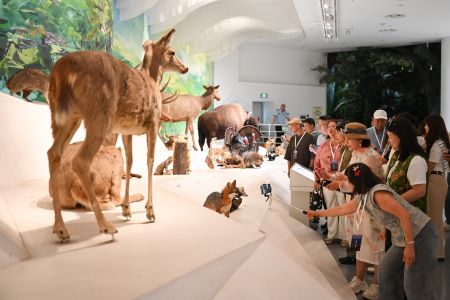 图为20余家海外主流华文媒体与10余位侨领参访重庆自然博物馆。中新网记者 何蓬磊 摄 图为20余家海外主流华文媒体与10余位侨领参访重庆自然博物馆。中新网记者 何蓬磊 摄