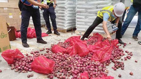 海關近日在蘇比克港截獲第二批走私紅洋蔥。