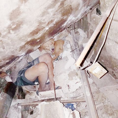 一條名為「魯克」的土狗因奮勇保護主人而受傷。