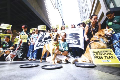 寵物飼主週日在計順市亞耶拉購物中心帶著動物舉行短暫遊行，呼籲民眾除夕夜勿施放煙火。菲律濱動物福利協會與生態廢棄物聯盟成員提醒公眾，巨大聲響與有毒物質的慶祝活動可能對寵物與流浪動物造成嚴重壓力與創傷。