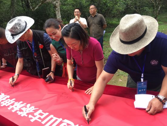 海外华媒代表在助力景迈山古茶林申遗时签名支持。