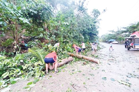 由菲律濱海岸警衛隊提供的這張資料照片顯示，救援人員在熱帶風暴「巴湘」襲擊南樹里爻省樹里爻市後，清理被吹倒樹木阻斷的道路。